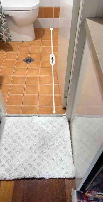 Apartment Comfortable Studio+free Parking For Small Car Sydney